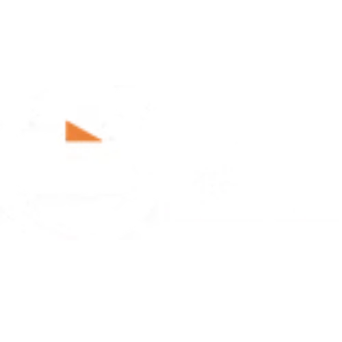 Chrome Diggital Logo